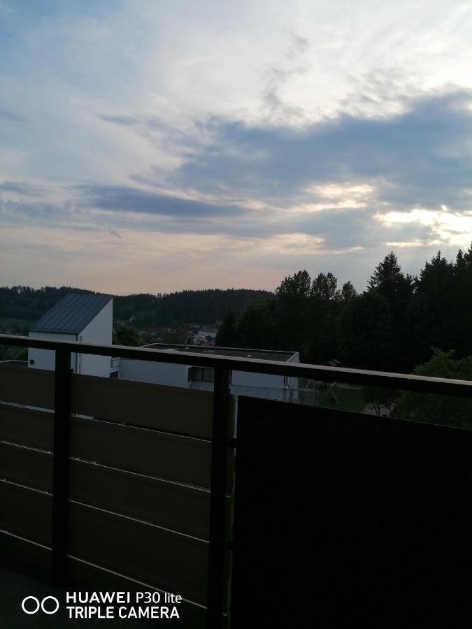 Appartement King Apartament 1 Mit Netflix à Sankt Englmar Extérieur photo