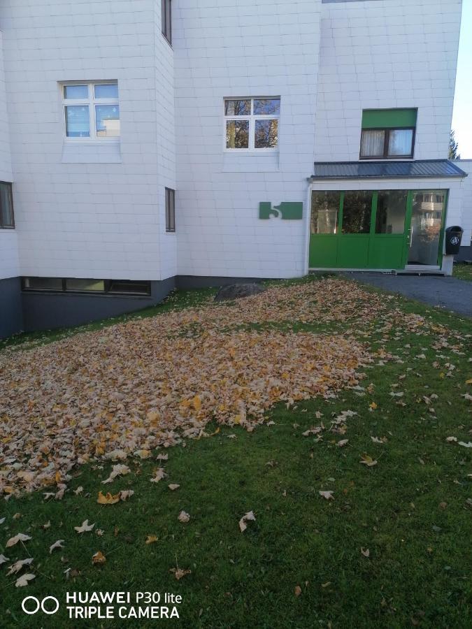 Appartement King Apartament 1 Mit Netflix à Sankt Englmar Extérieur photo